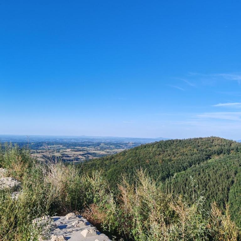 TOP STAR Divčibare - Apartman sa 1 Spavaćom Sobom - 14