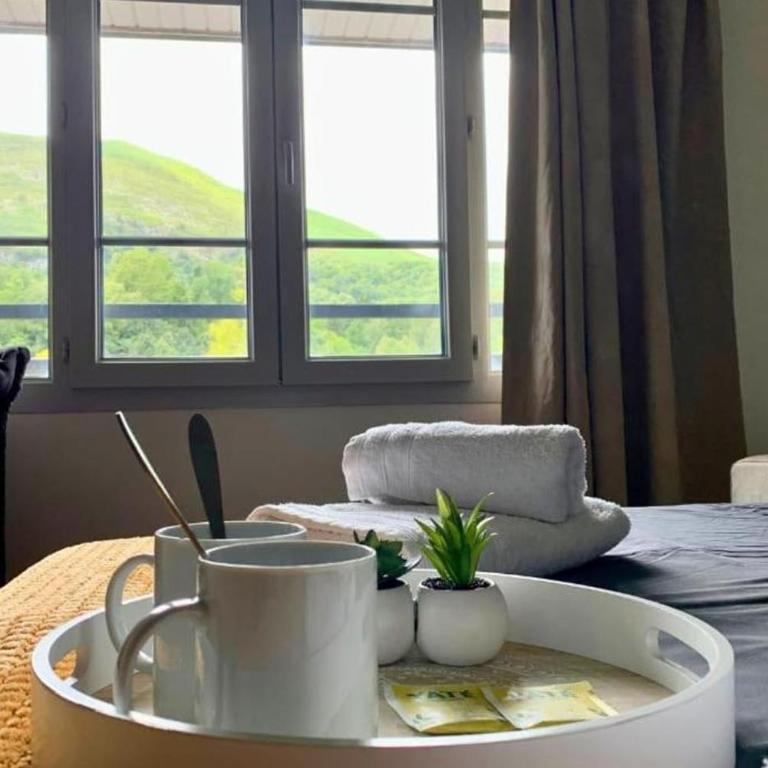 [Paradis 401] T2 apaisant au coeur de Lourdes - Apartamento de 1 dormitorio - 11
