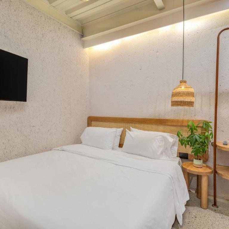 Botánica Casa Hotel Manila by HOUSY HOST - Suite - 5