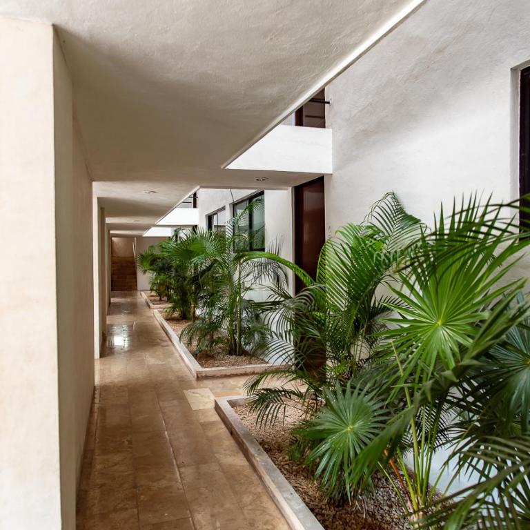 Tu hogar en Mérida - Two-Bedroom Apartment - 96