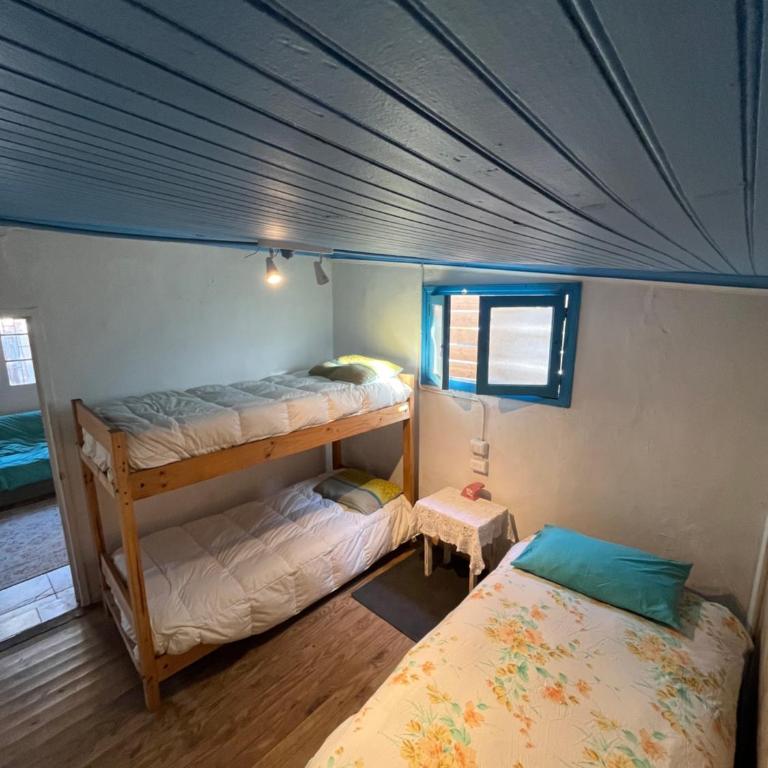 SURFHOUSE Pichilemu - Bunk Bed in Female Dormitory Room - 3