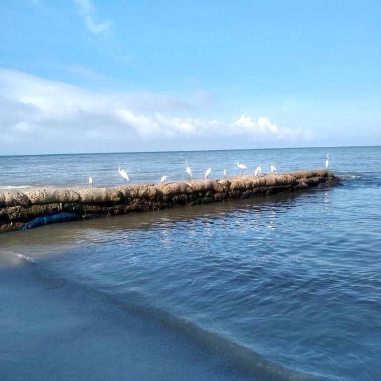 Reserva de la Sierra - One-Bedroom Apartment - 17