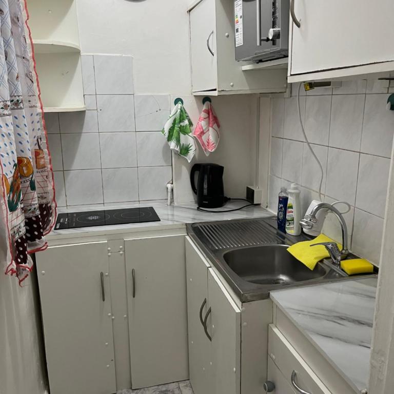 Céntrico departamento a pasos del mercado central - Apartamento de 1 dormitorio - 17