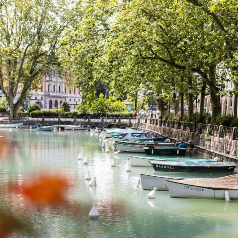 Appartement Dolce Vita - Your ideal getaway in the heart of Annecy - Apartment - 18