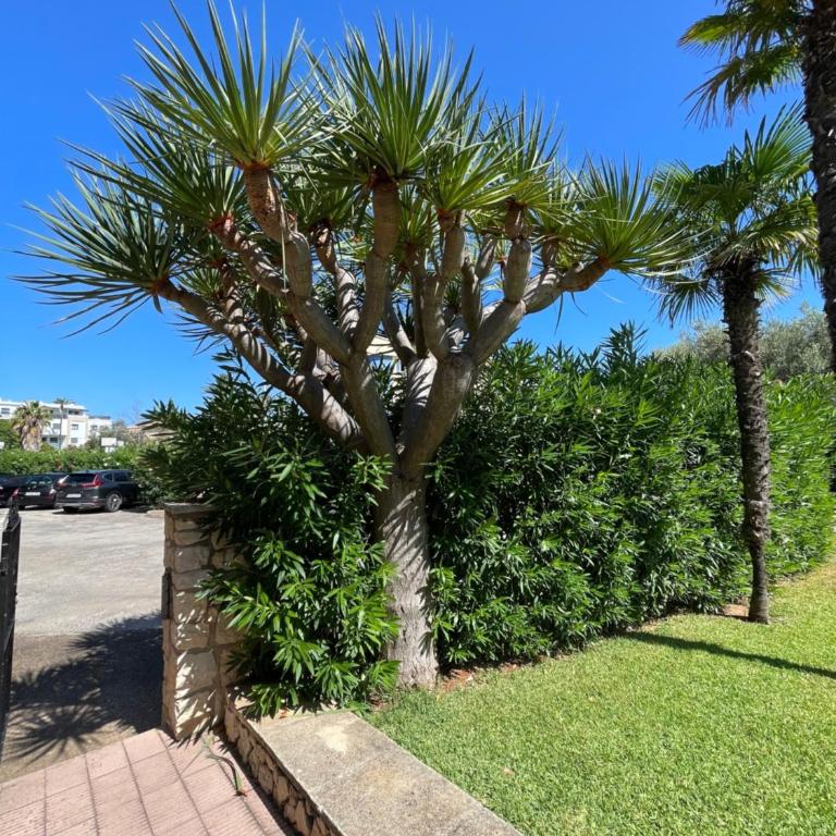 Marina Lodge - Apartamento de 2 dormitorios - 47