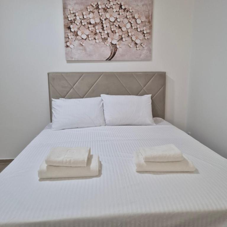 Lux apartmani Anastasija - King Studio - 5