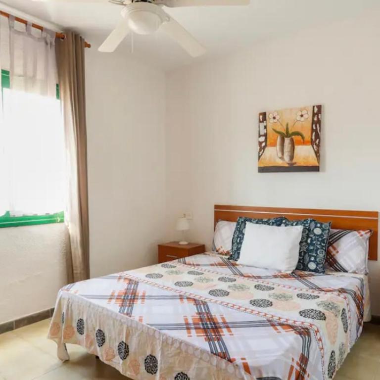 Parque don Jose, Costa del Silencio, Tenerife - Apartamento de 1 dormitorio - 8