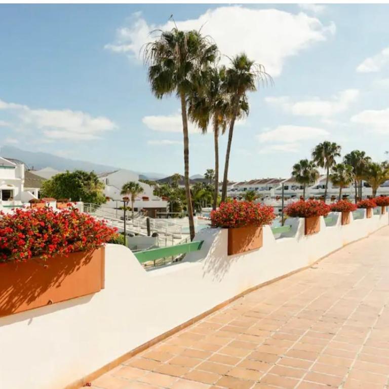 Parque don Jose, Costa del Silencio, Tenerife - Apartamento de 1 dormitorio - 19