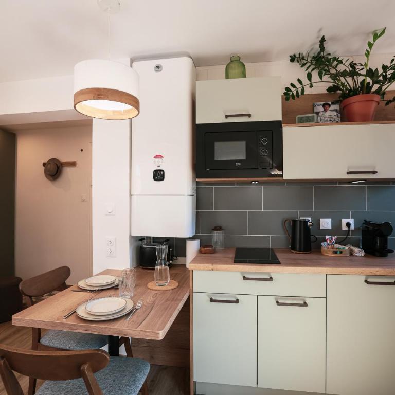 En plein centre du village ! - One-Bedroom Apartment - 14