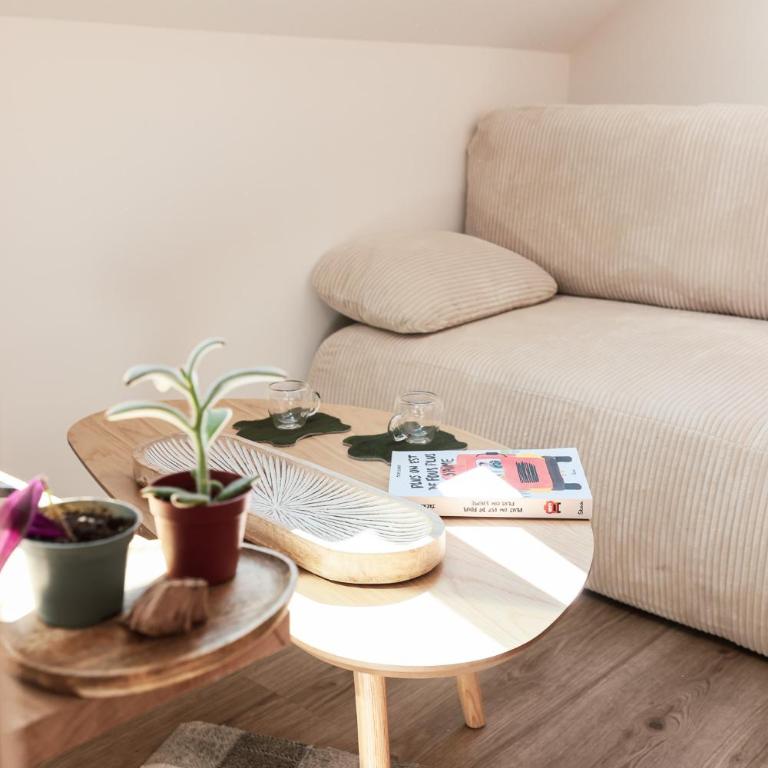En plein centre du village ! - One-Bedroom Apartment - 28
