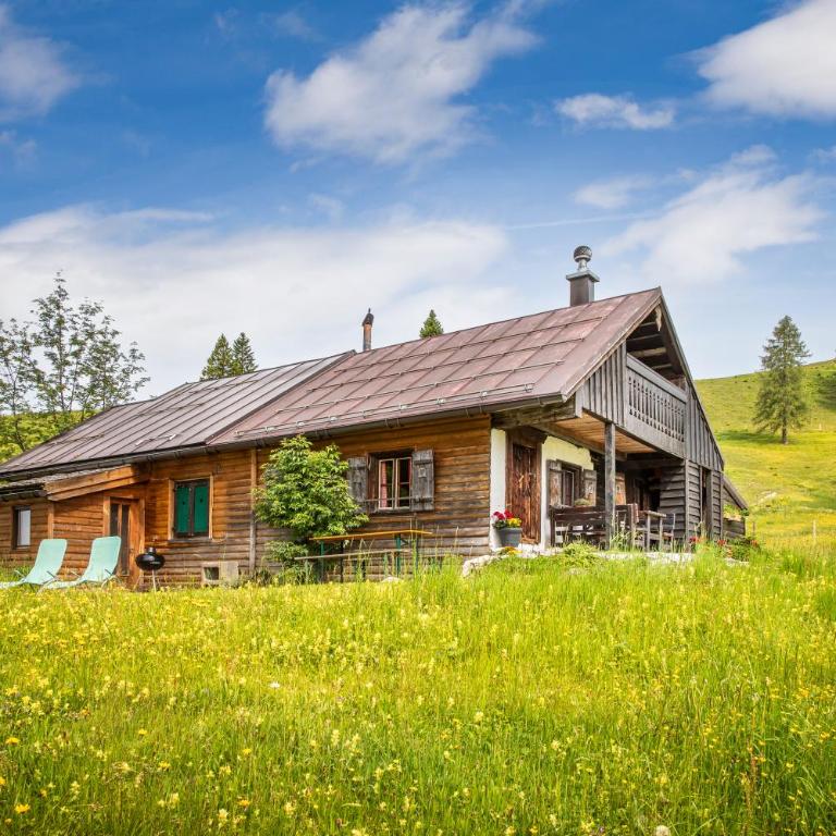 Schnaitstadl-Alm Selbstversorgerhütte - Maison de Vacances - 1