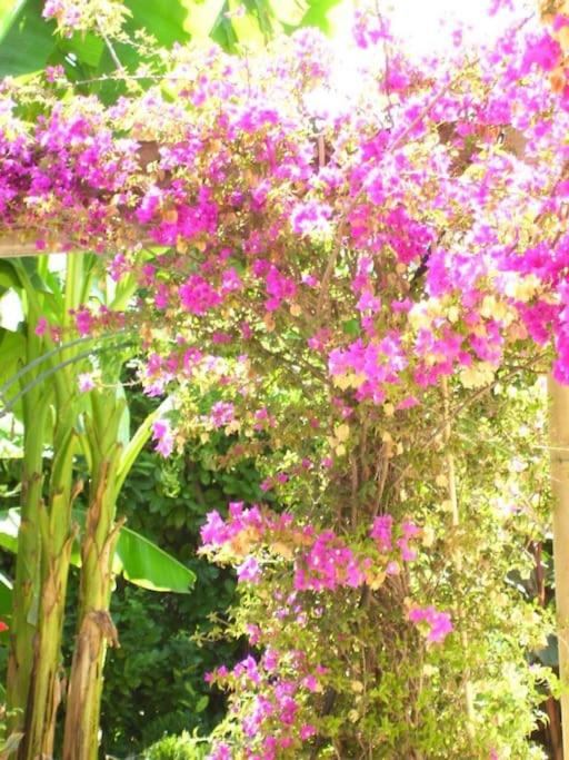 Spacious Villa Vallauris Cannes with AC throughout and large private pool - Villa - 76
