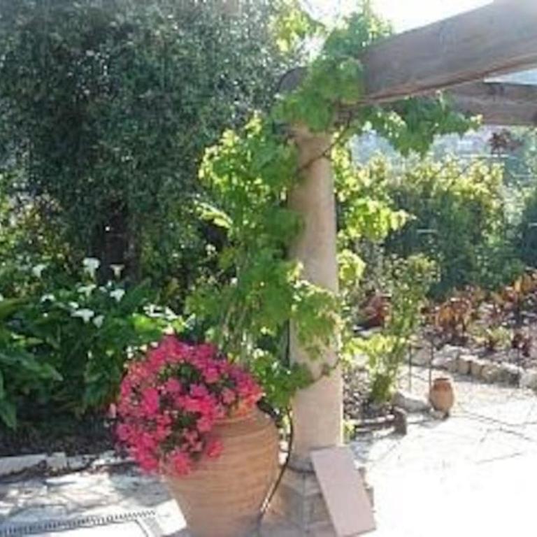 Spacious Villa Vallauris Cannes with AC throughout and large private pool - Villa - 75
