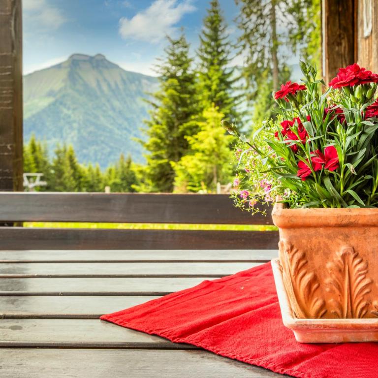 Schnaitstadl-Alm Selbstversorgerhütte - Maison de Vacances - 3