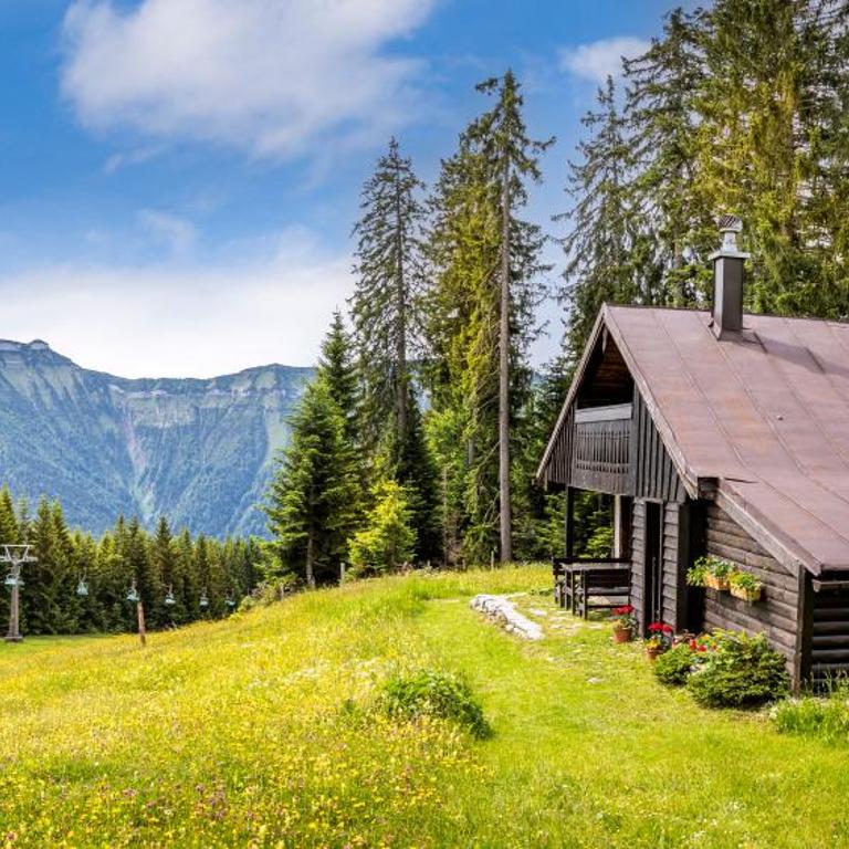 Schnaitstadl-Alm Selbstversorgerhütte - Maison de Vacances - 2