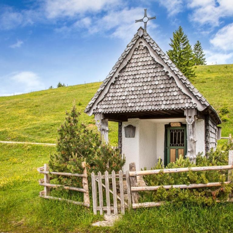 Schnaitstadl-Alm Selbstversorgerhütte - Maison de Vacances - 11