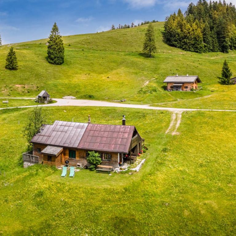 Schnaitstadl-Alm Selbstversorgerhütte - Maison de Vacances - 13