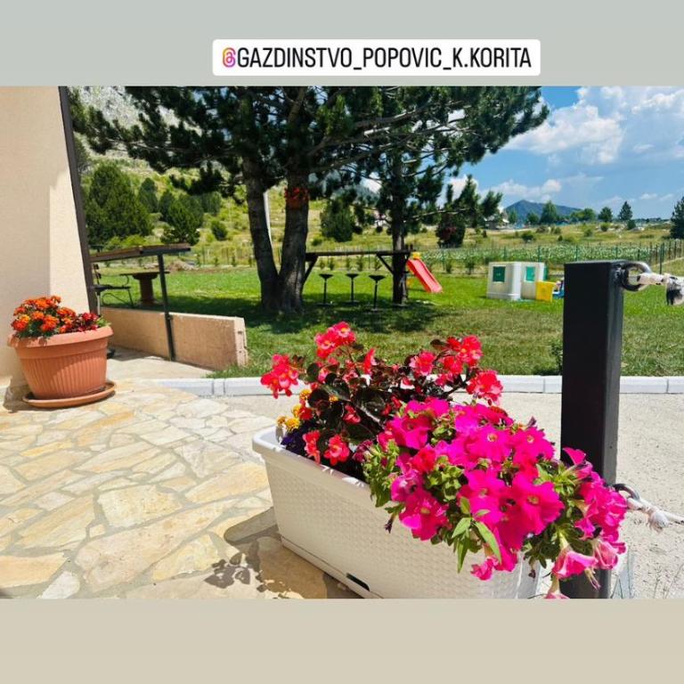 Gazdinstvo Popovic,Kucka Korita-Podgorica - Three-Bedroom Apartment with Mountain View - 9