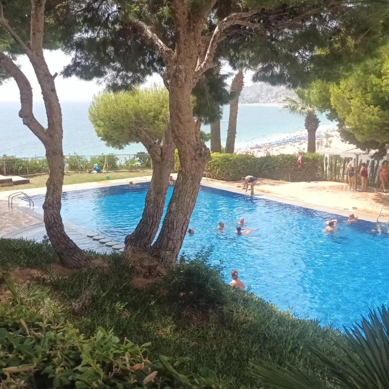 NUEVO APTO BALCON DE PONIENTE 1 A LÍNEA PLAYA TORRE 2 LUXE SM CON AIRE, PISCINA,JAR VISTAS ESPECTACULARES AL MAR De BENIDORM - Apartamento de 2 dormitorios - 3