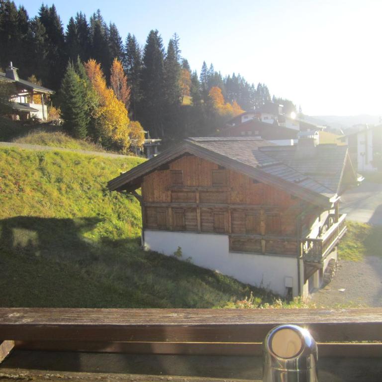 Les Gets Le Grand Paradis - Apartment mit Sauna - 35