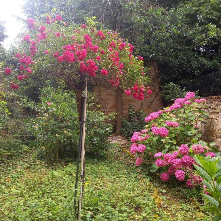 La Teranga de Kadi & Cathy, avec jardin privatif - Appartamento con 1 Camera da Letto - 49