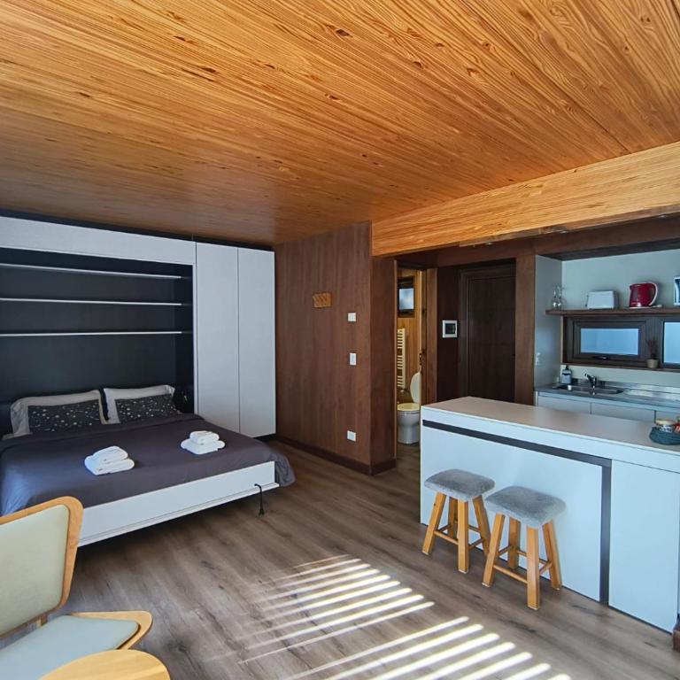 RAHUE, Monoambiente Céntrico con Patio Propio - Studio - 6