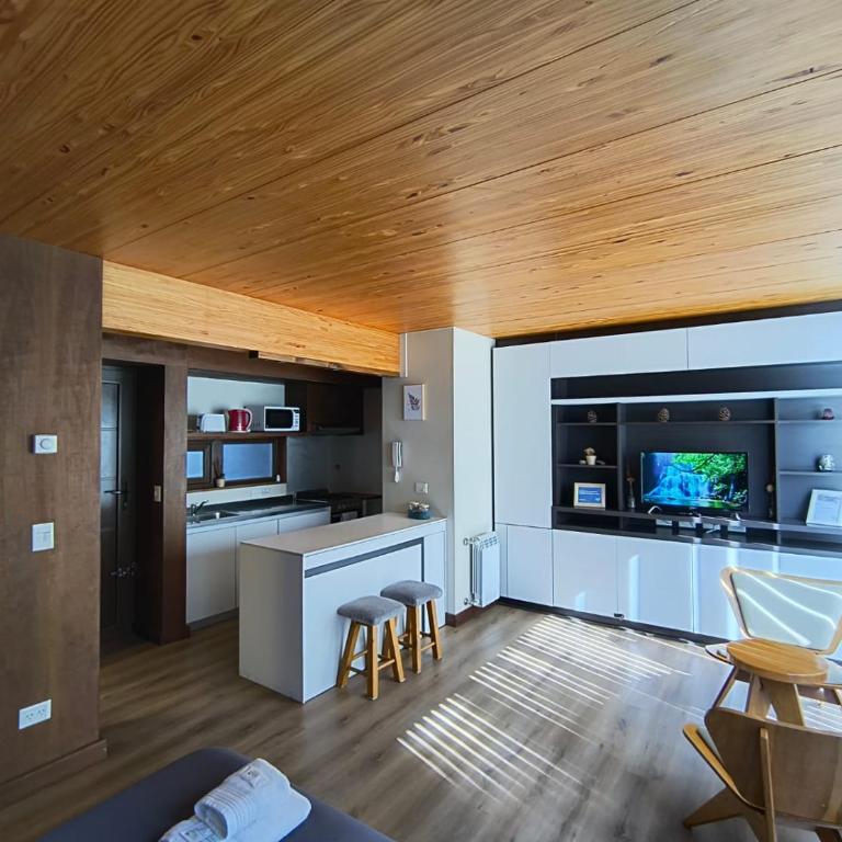 RAHUE, Monoambiente Céntrico con Patio Propio - Studio - 9