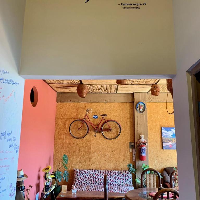 Diaza Rooms Center of Oaxaca - Habitación Doble - 13
