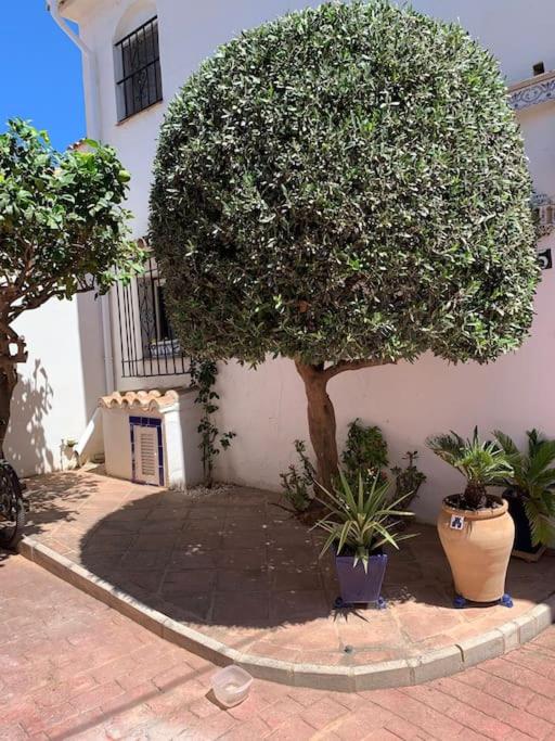 Ardhraubu Villa, Terra Cotta & Very Close to Sea - Chalet de 2 dormitorios - 20