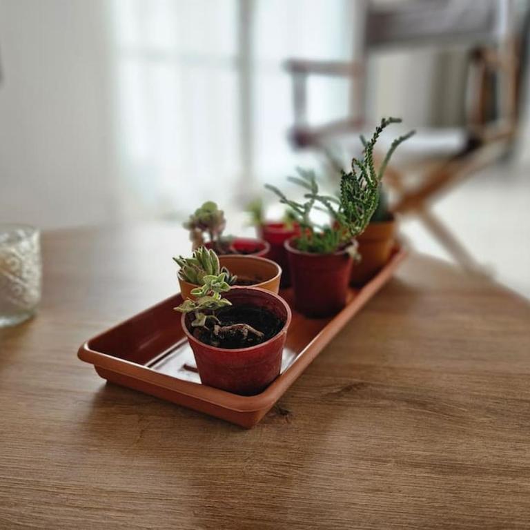 El Soleado y Luminoso - Apartamento de 2 dormitorios con terraza - 10