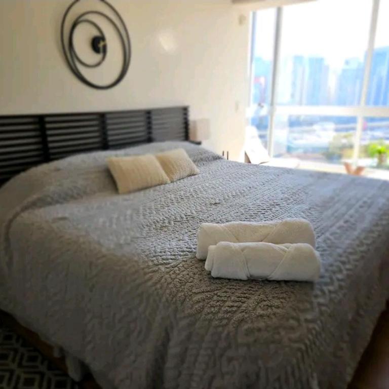 Hermosa SUITE vista increíble, gym, elevador - Estudio Deluxe con cama grande - 1