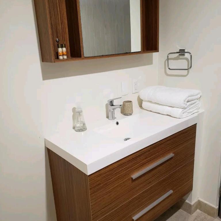 Hermosa SUITE vista increíble, gym, elevador - Estudio Deluxe con cama grande - 11