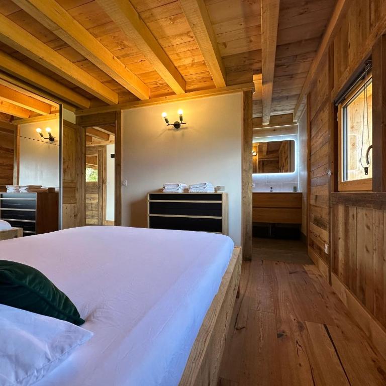 Chalet vue Mont Blanc avec jacuzzi extérieur - Appartement - 21