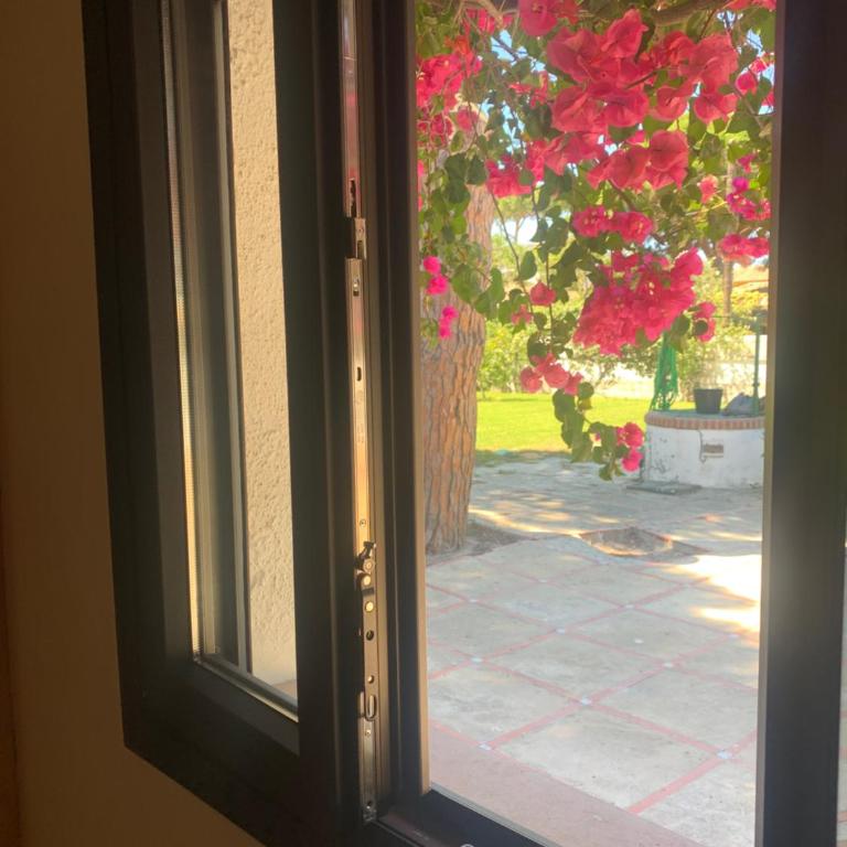 Villa Charro - Three-Bedroom House - 26