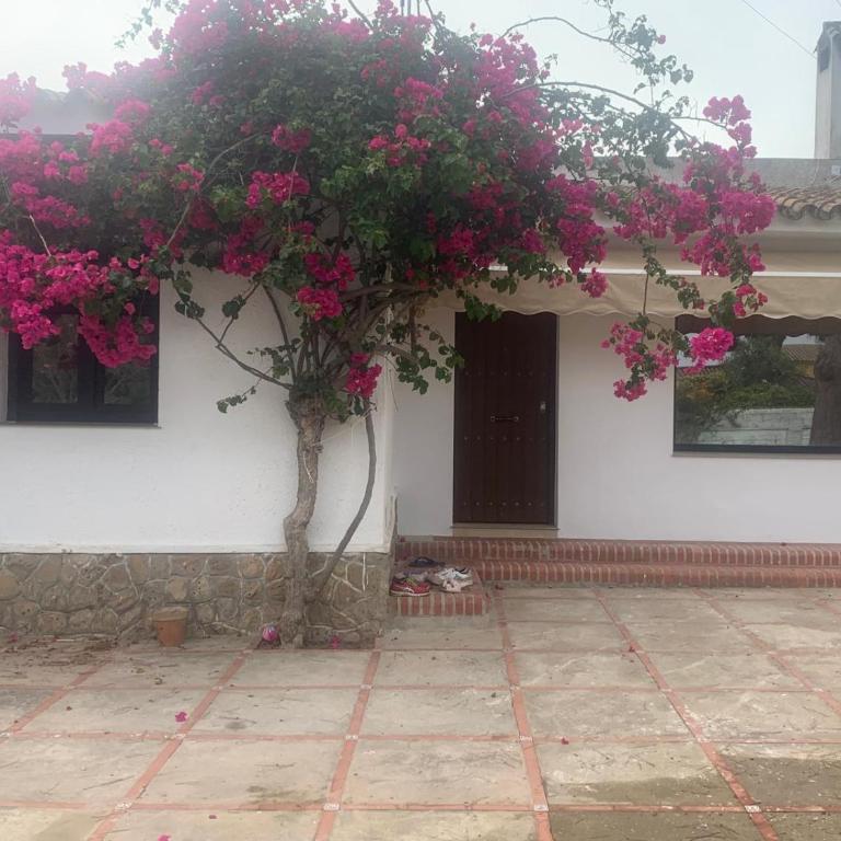 Villa Charro - Three-Bedroom House - 42