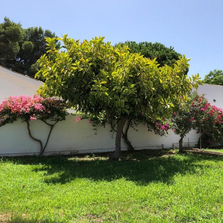 Villa Charro - Three-Bedroom House - 44