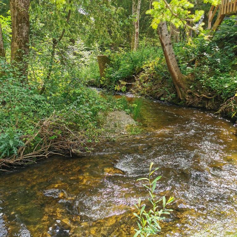 Wald ist Zukunft - Baumhaus Eule - 27