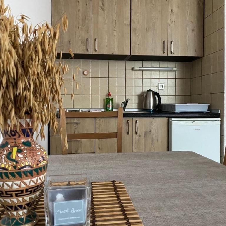 Apartmani Marija - One-Bedroom Apartment (5 Adults) - 1