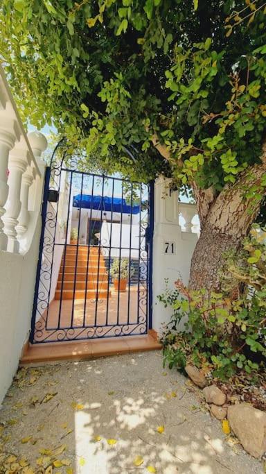 Casa Azul de Agnes - Two-Bedroom House - 27