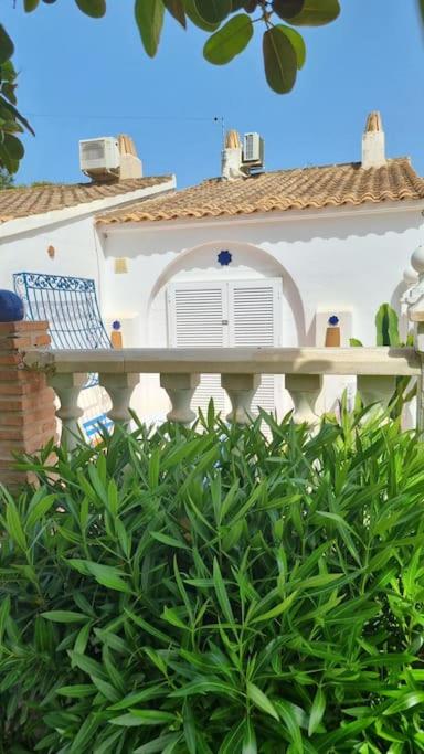 Casa Azul de Agnes - Two-Bedroom House - 60