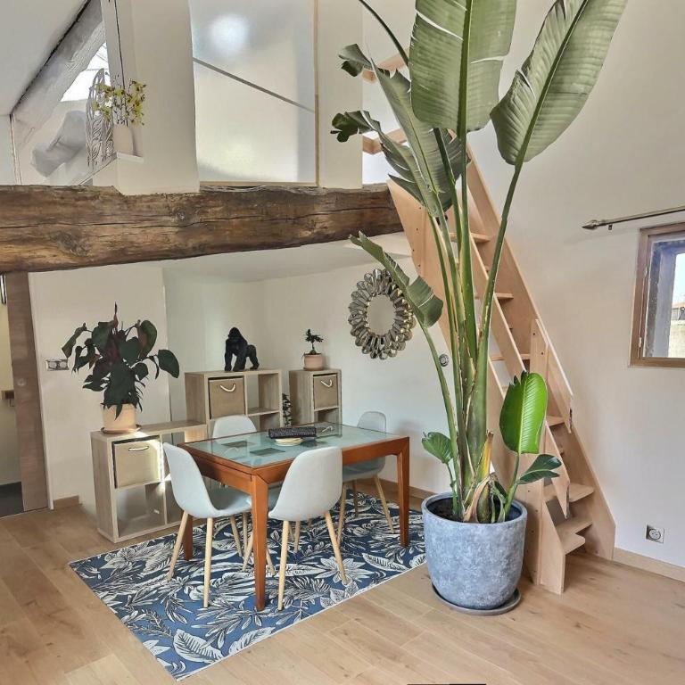 Jungle Loft Béziers centre - Appartement 2 Chambres avec Terrasse - 2