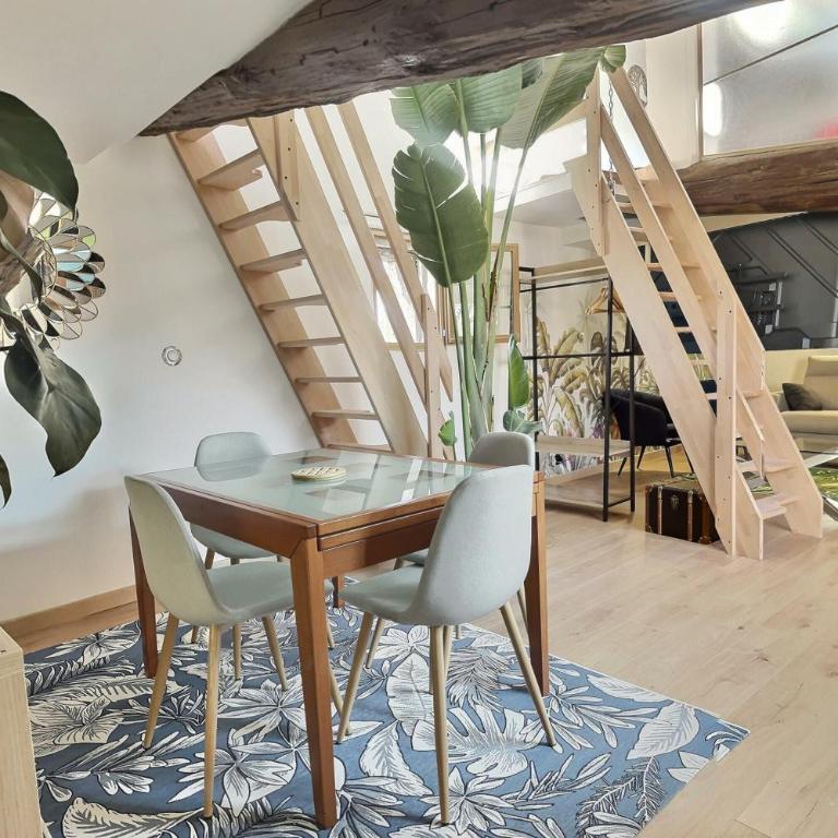 Jungle Loft Béziers centre - Appartement 2 Chambres avec Terrasse - 4