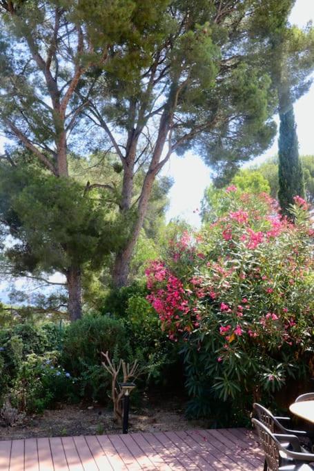 Villa moderne vue mer et collines aux Portes des Calanques - Maison de Vacances 4 Chambres - 23