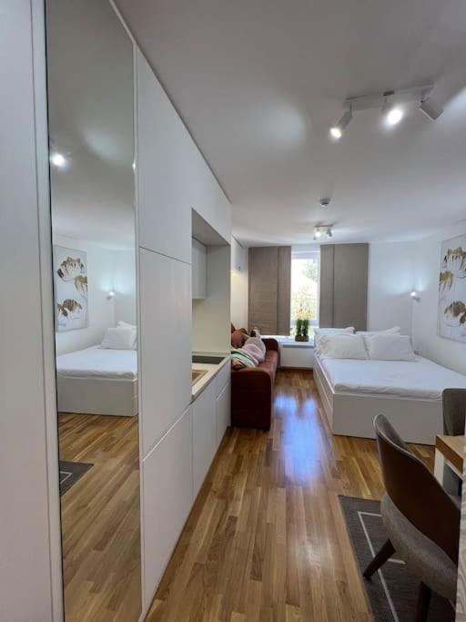 Ema - Jakov Kopaonik Kraljevi Čardaci - Apartman sa 1 Spavaćom Sobom - 12