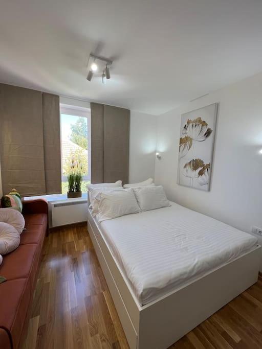 Ema - Jakov Kopaonik Kraljevi Čardaci - Apartman sa 1 Spavaćom Sobom - 18
