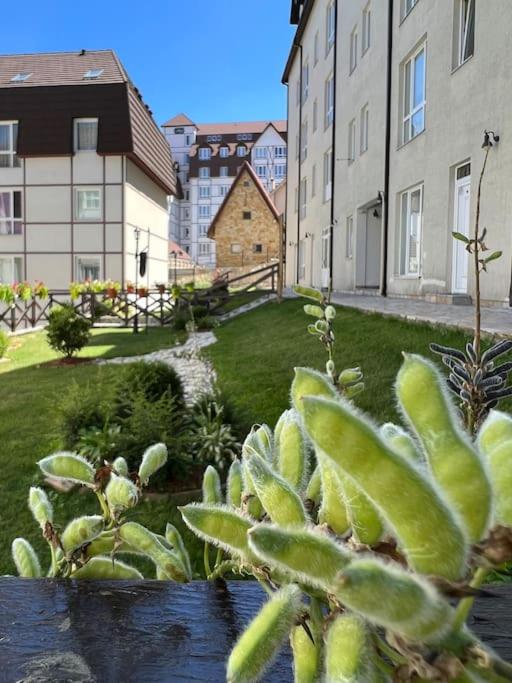 Ema - Jakov Kopaonik Kraljevi Čardaci - Apartman sa 1 Spavaćom Sobom - 19