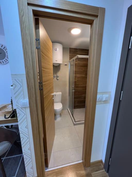 Ema - Jakov Kopaonik Kraljevi Čardaci - Apartman sa 1 Spavaćom Sobom - 21
