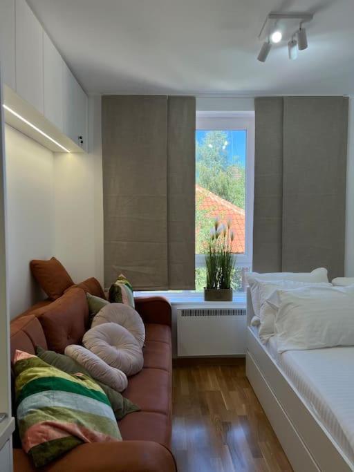 Ema - Jakov Kopaonik Kraljevi Čardaci - Apartman sa 1 Spavaćom Sobom - 28