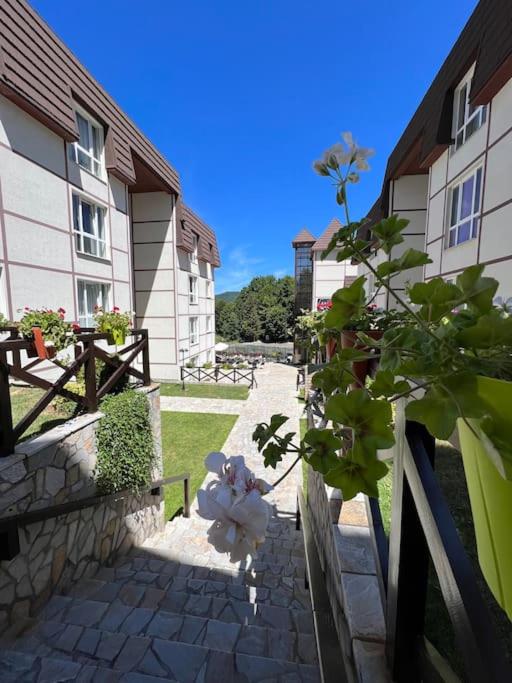 Ema - Jakov Kopaonik Kraljevi Čardaci - Apartman sa 1 Spavaćom Sobom - 34