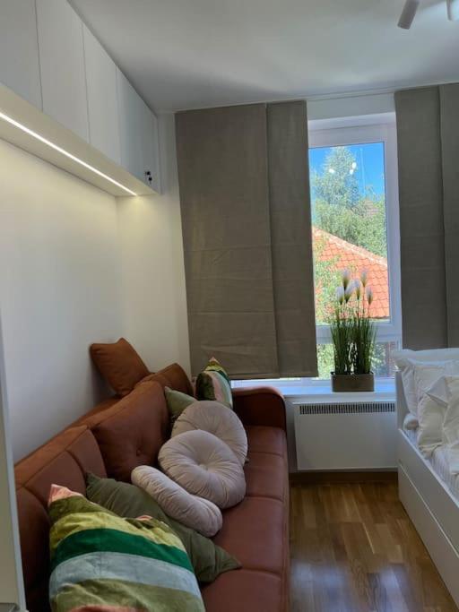 Ema - Jakov Kopaonik Kraljevi Čardaci - Apartman sa 1 Spavaćom Sobom - 43